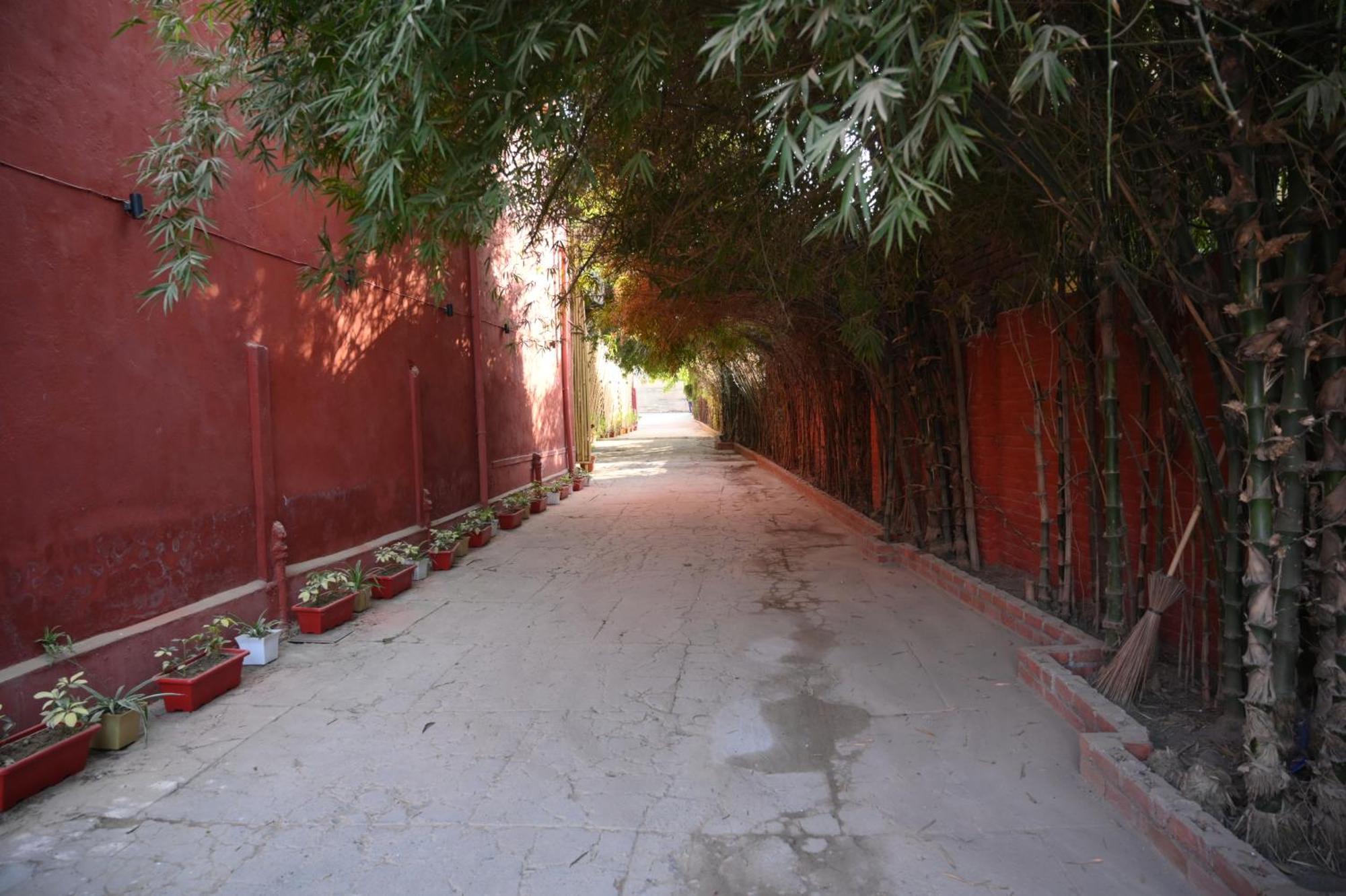 Raja Ka Bagh - A Boutique Hotel Nurpur Exteriér fotografie